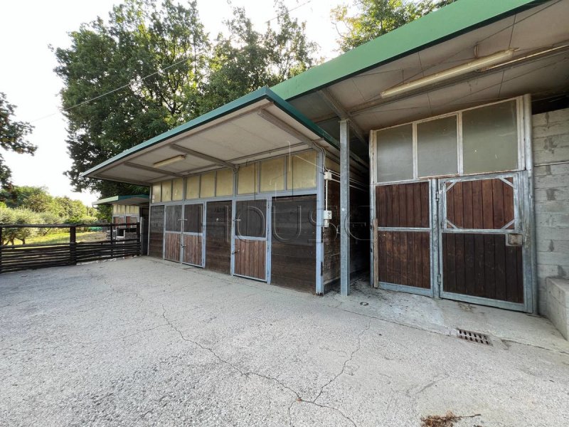 Edifício comercial em Sansepolcro