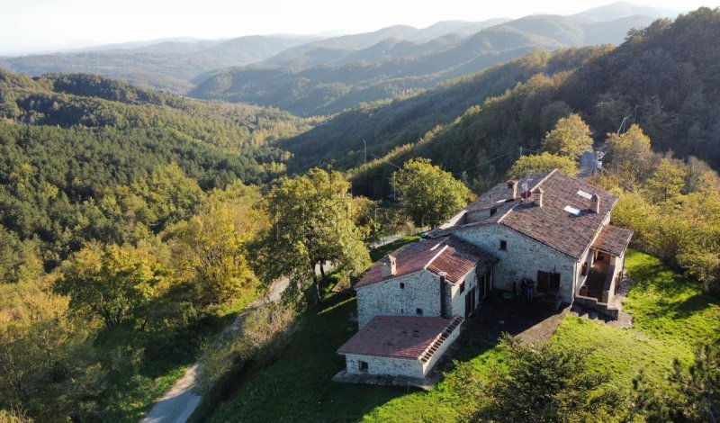 Bauernhaus in Città di Castello