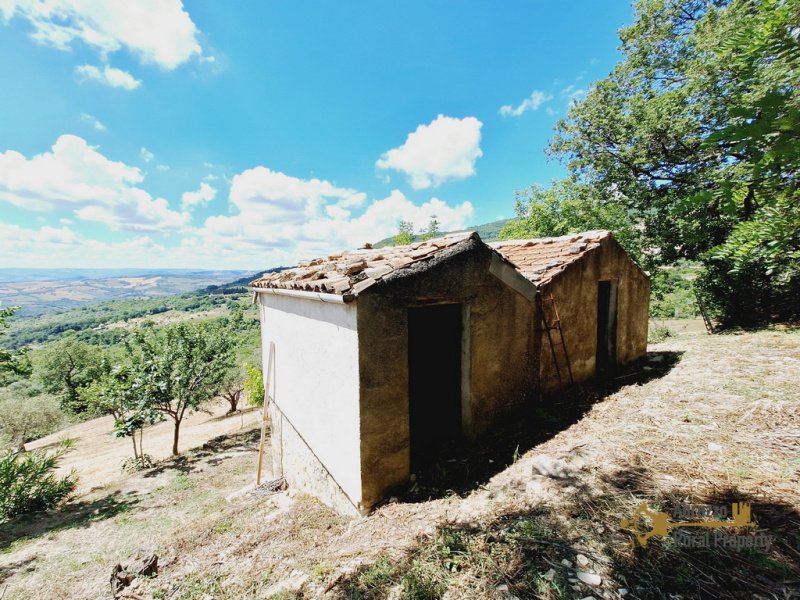 Hus på landet i Castelmauro