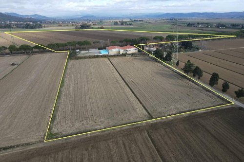 Landwirtschaftlicher Betrieb in Campiglia Marittima