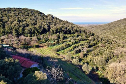 Boerenbedrijf in Campiglia Marittima