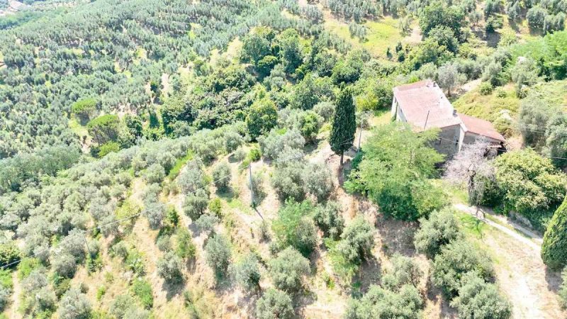 Farmhouse in Larciano