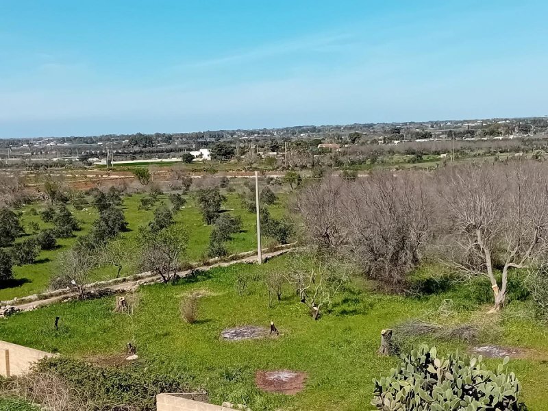 Agricultural land in Ugento