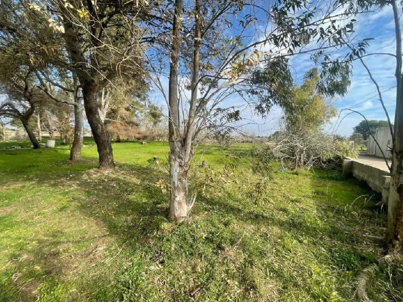 Klein huisje op het platteland in Spongano