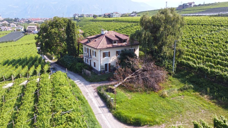 Villa à Appiano sulla strada del vino