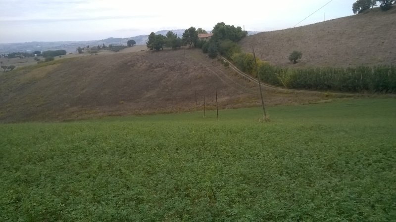 Quinta agrícola em Montelupone