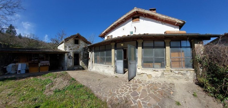 Ferme à Castel San Niccolò