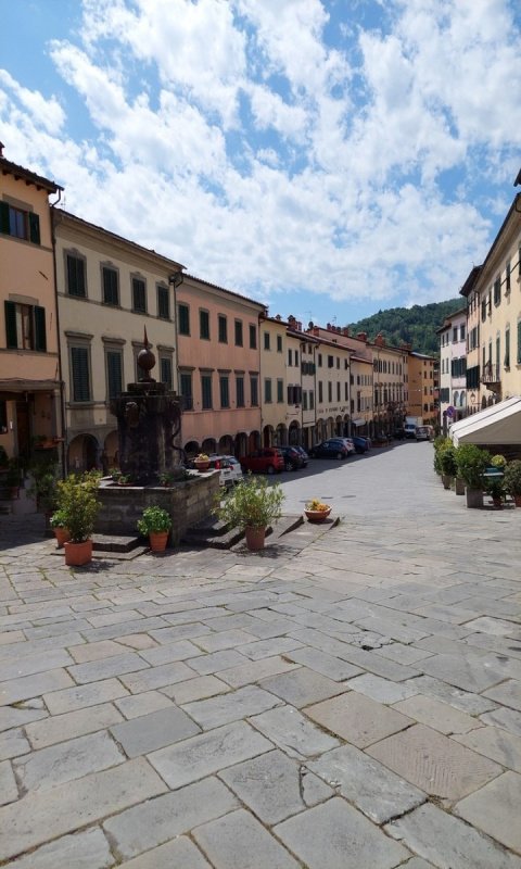 Apartment in Pratovecchio Stia