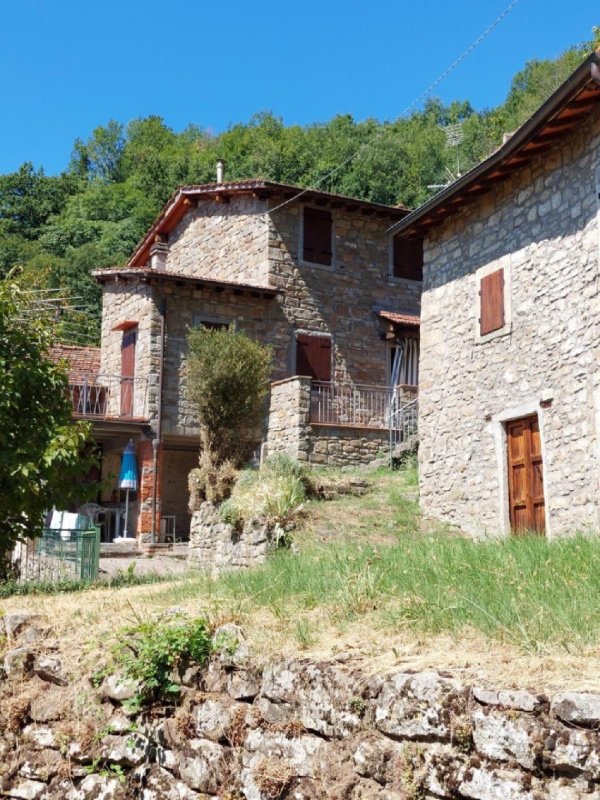 Farmhouse in Castel San Niccolò