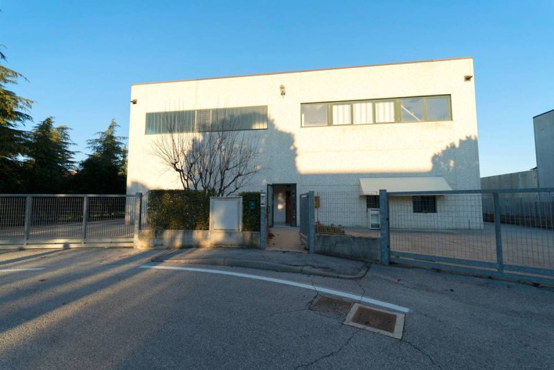 Commercial property in Lonato del Garda