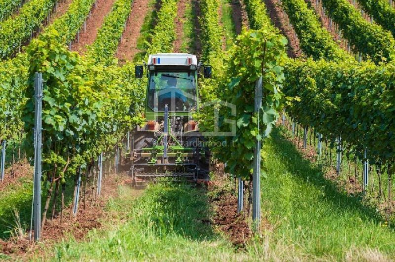 Terrain agricole à Solférino