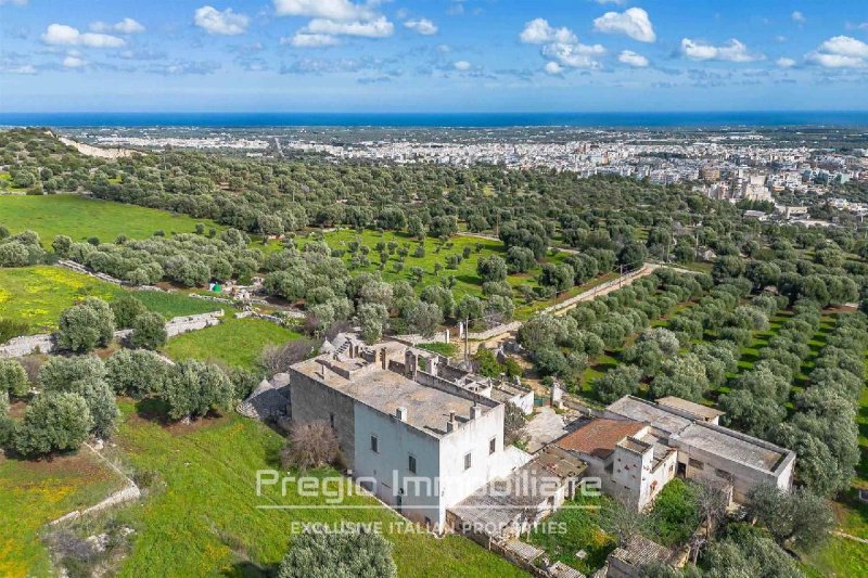 Masseria a Fasano