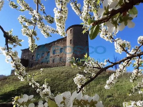 Top-to-bottom house in Calice al Cornoviglio