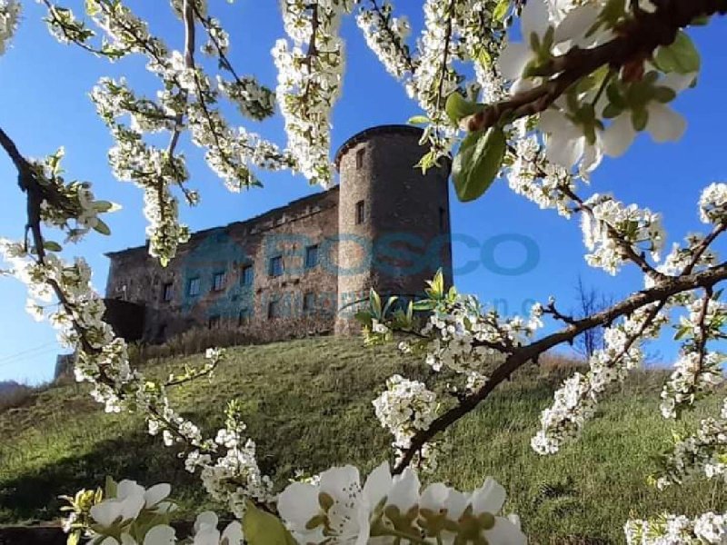 Cielo/Tierra en Calice al Cornoviglio