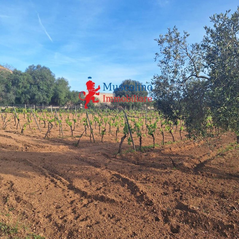 Agricultural land in Mazara del Vallo