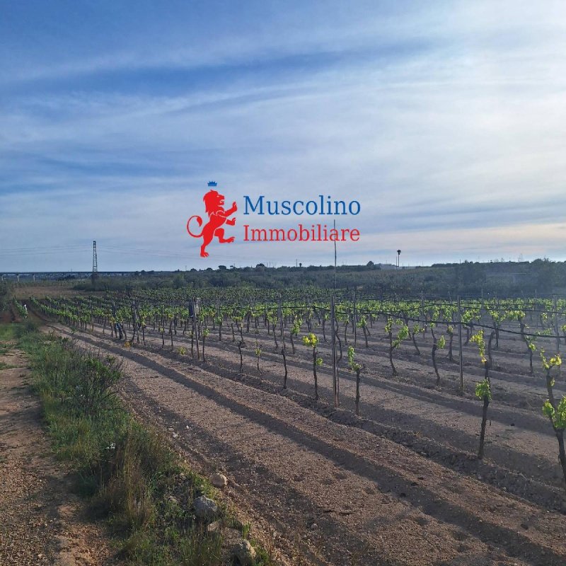 Agricultural land in Mazara del Vallo