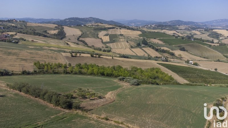 圣克莱门泰别墅