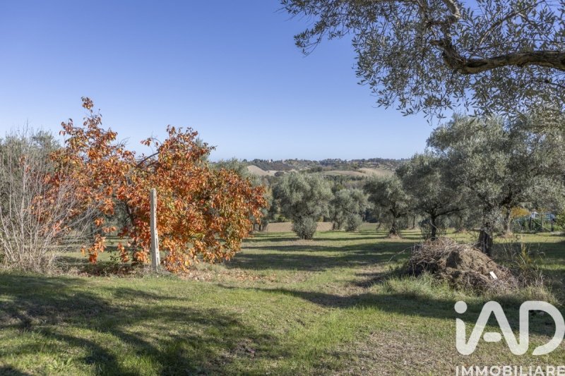 莫利亚诺乡间房屋