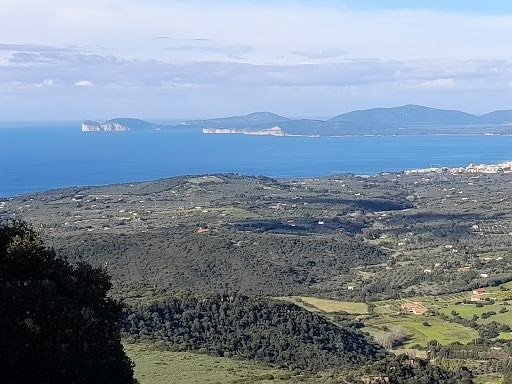 Villa in Alghero