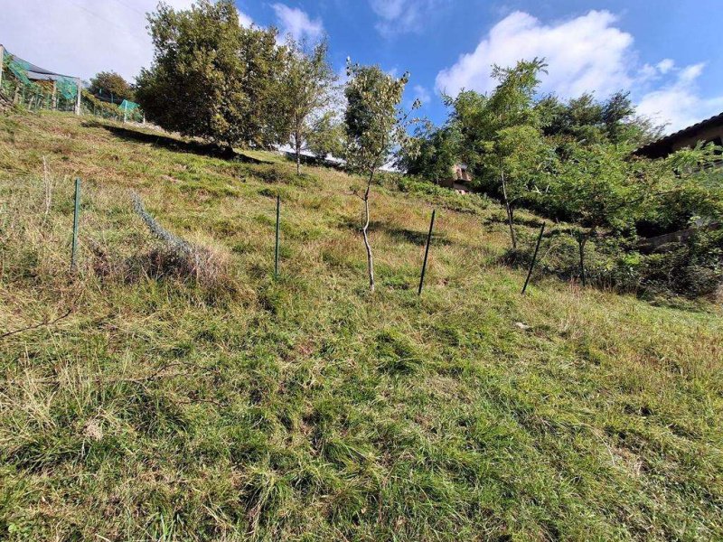 格拉韦多纳联合镇建筑用地