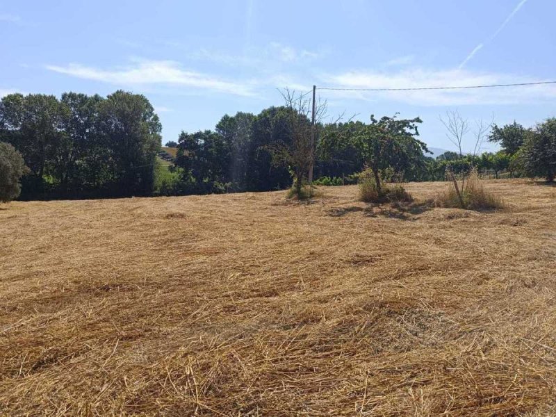 Terreno agricolo a Narni