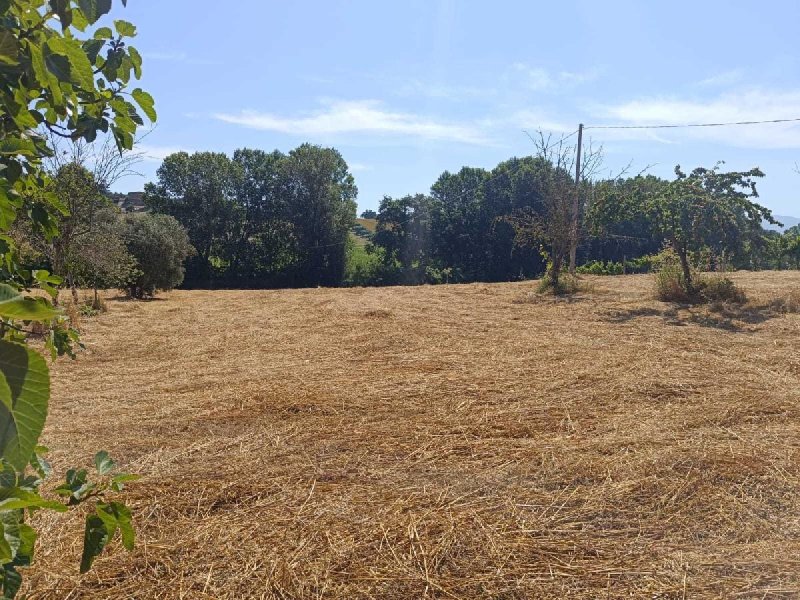 Terrain agricole à Narni