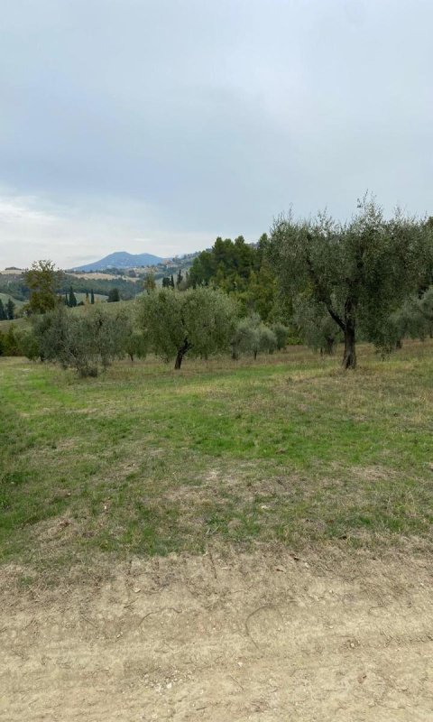 Agricultural land in Lugnano in Teverina