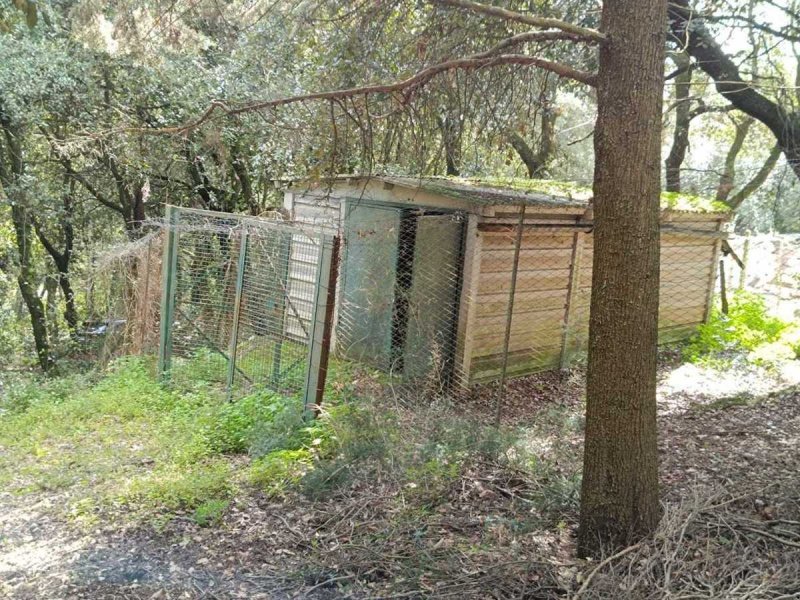 Terreno agricolo a Amelia