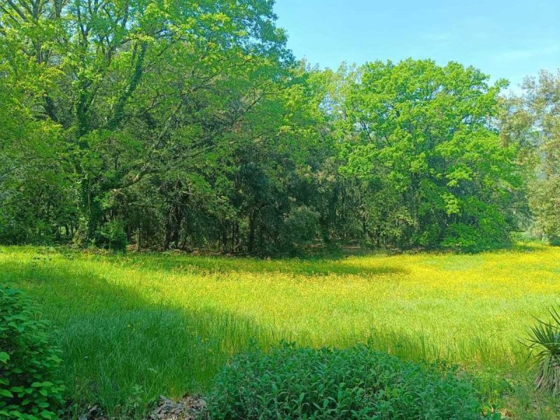 Klein huisje op het platteland in Amelia