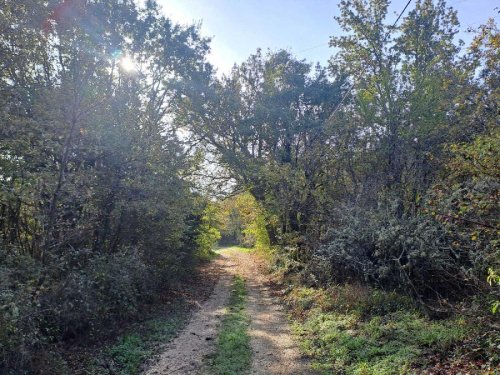 Agricultural land in Amelia