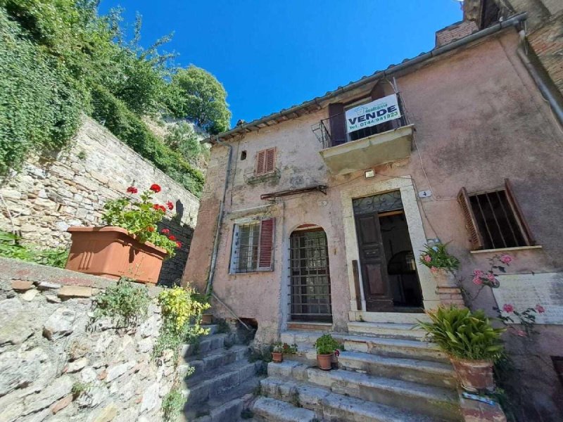 Teto/Chão em Amelia