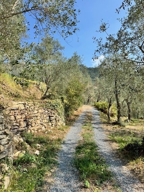 Einfamilienhaus in Prelà