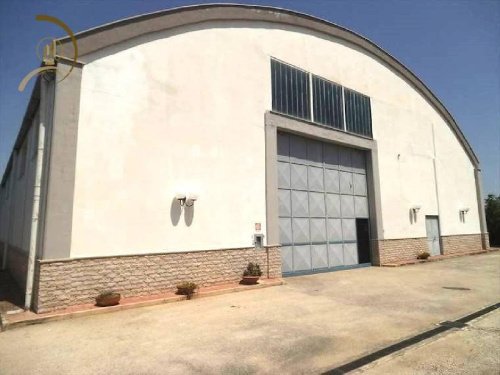 Commercial property in Andria