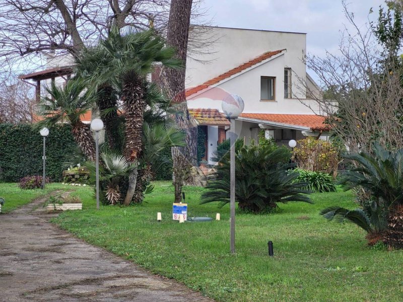 House in Nettuno