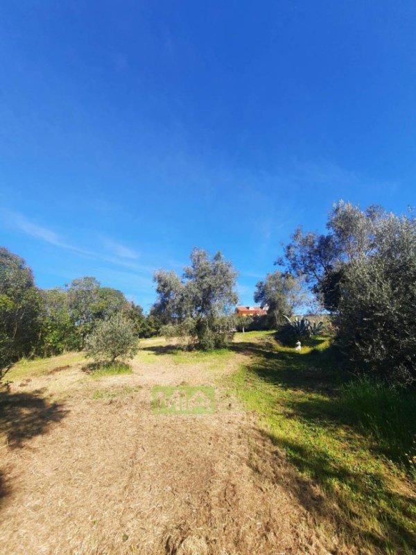 Terreno para construção em Altidona