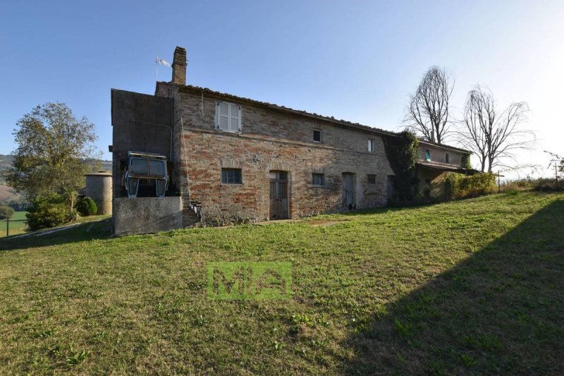 Lantställe i Monterubbiano