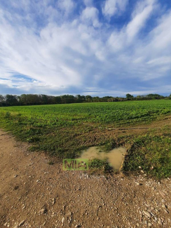 Terrain agricole à Sant'Elpidio a Mare