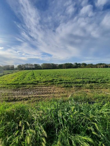 Landwirtschaftliche Fläche in Sant'Elpidio a Mare