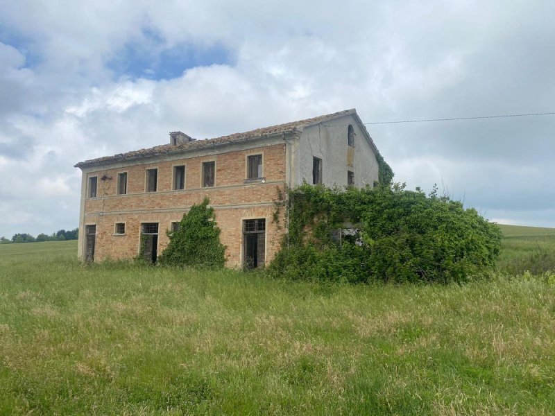 Ferme à Terre Roveresche