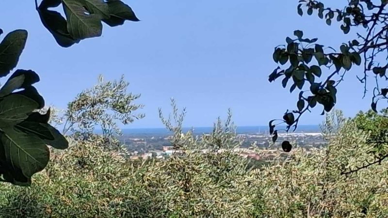 Casolare a Colli al Metauro