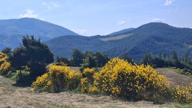 Lantställe i Apecchio