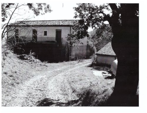 Azienda agricola a Oriolo