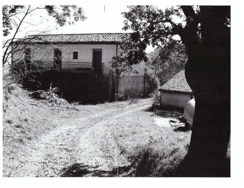 Quinta agrícola em Oriolo