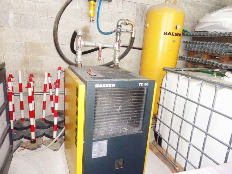 Gewerbeimmobilie in Terre Roveresche