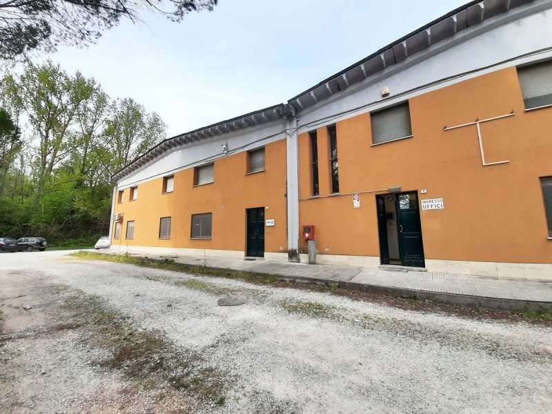 Commercial property in Mogliano