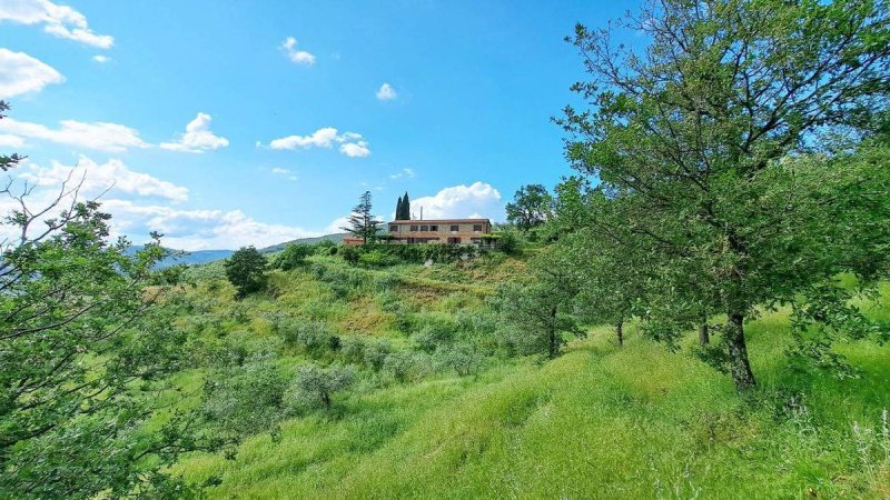 Farmhouse in Loro Ciuffenna