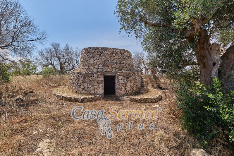 Trullo en Taviano