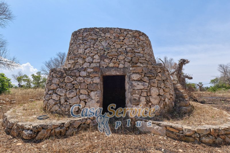 Trullo (Rundhaus) in Taviano