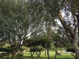 Casa indipendente a Olbia