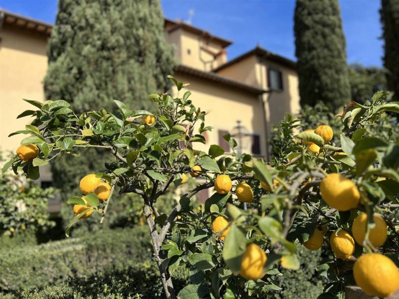 Appartement à Lastra a Signa